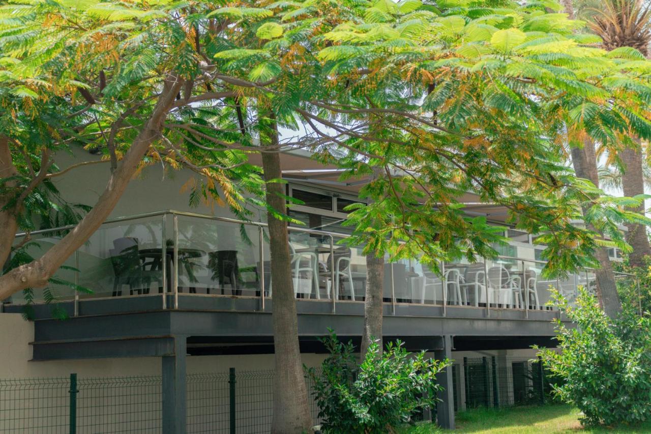 Apartamentos El Palmar Πλάγια ντελ Ινγκλές Εξωτερικό φωτογραφία
